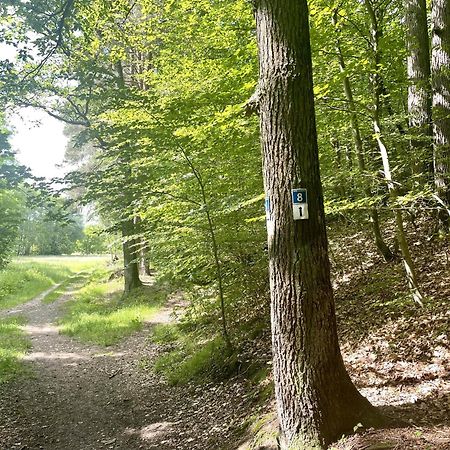 Landhotel Hubertus Unterelsbach Eksteriør bilde