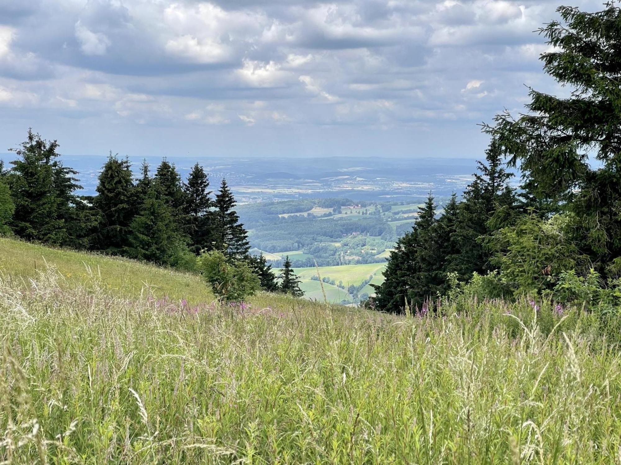 Landhotel Hubertus Unterelsbach Eksteriør bilde