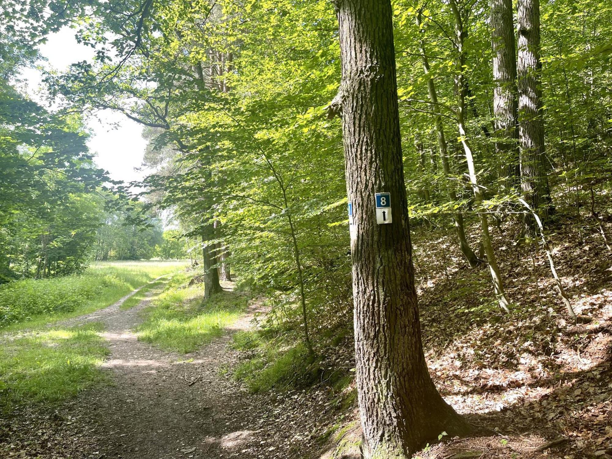 Landhotel Hubertus Unterelsbach Eksteriør bilde