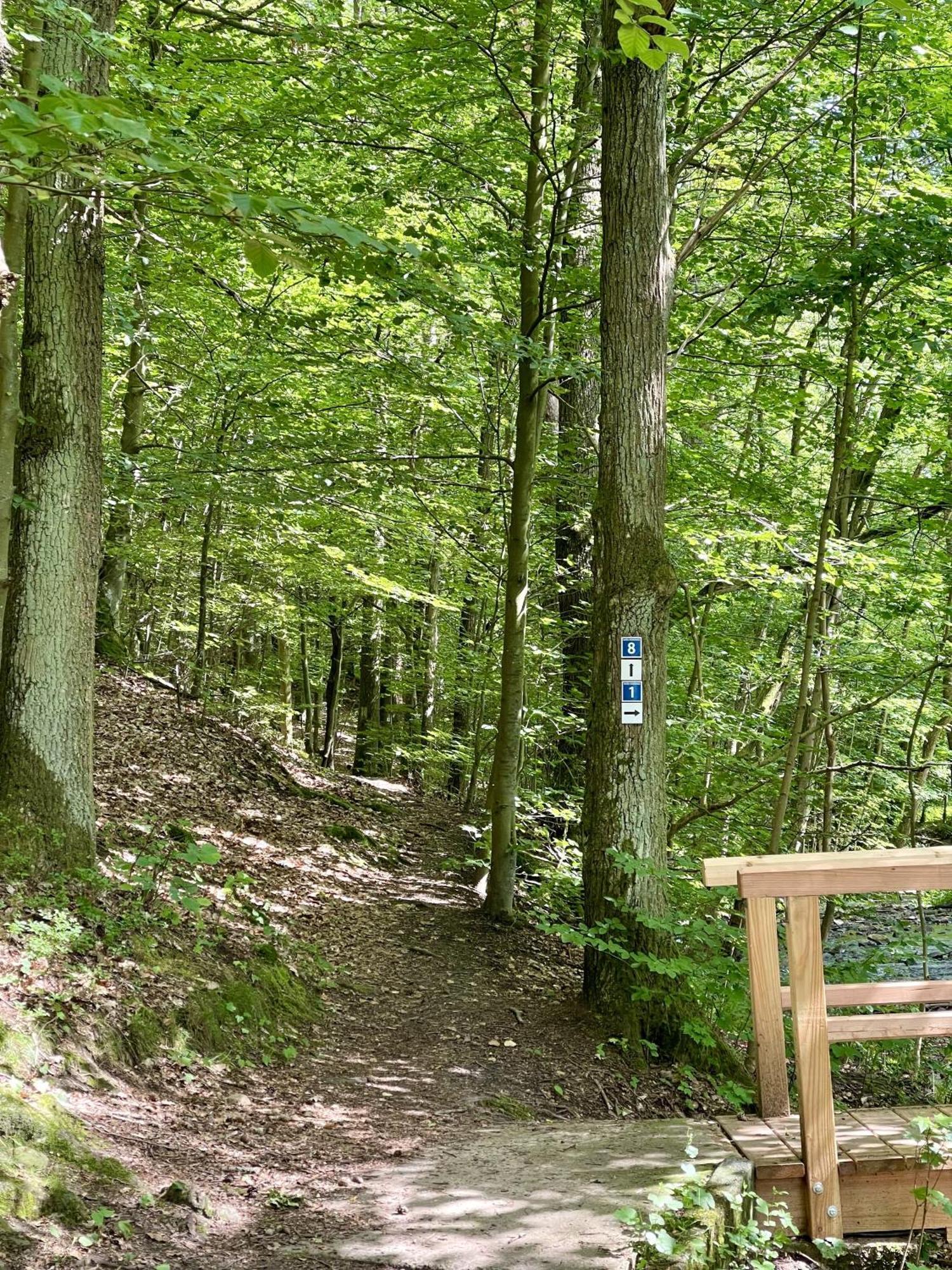 Landhotel Hubertus Unterelsbach Eksteriør bilde